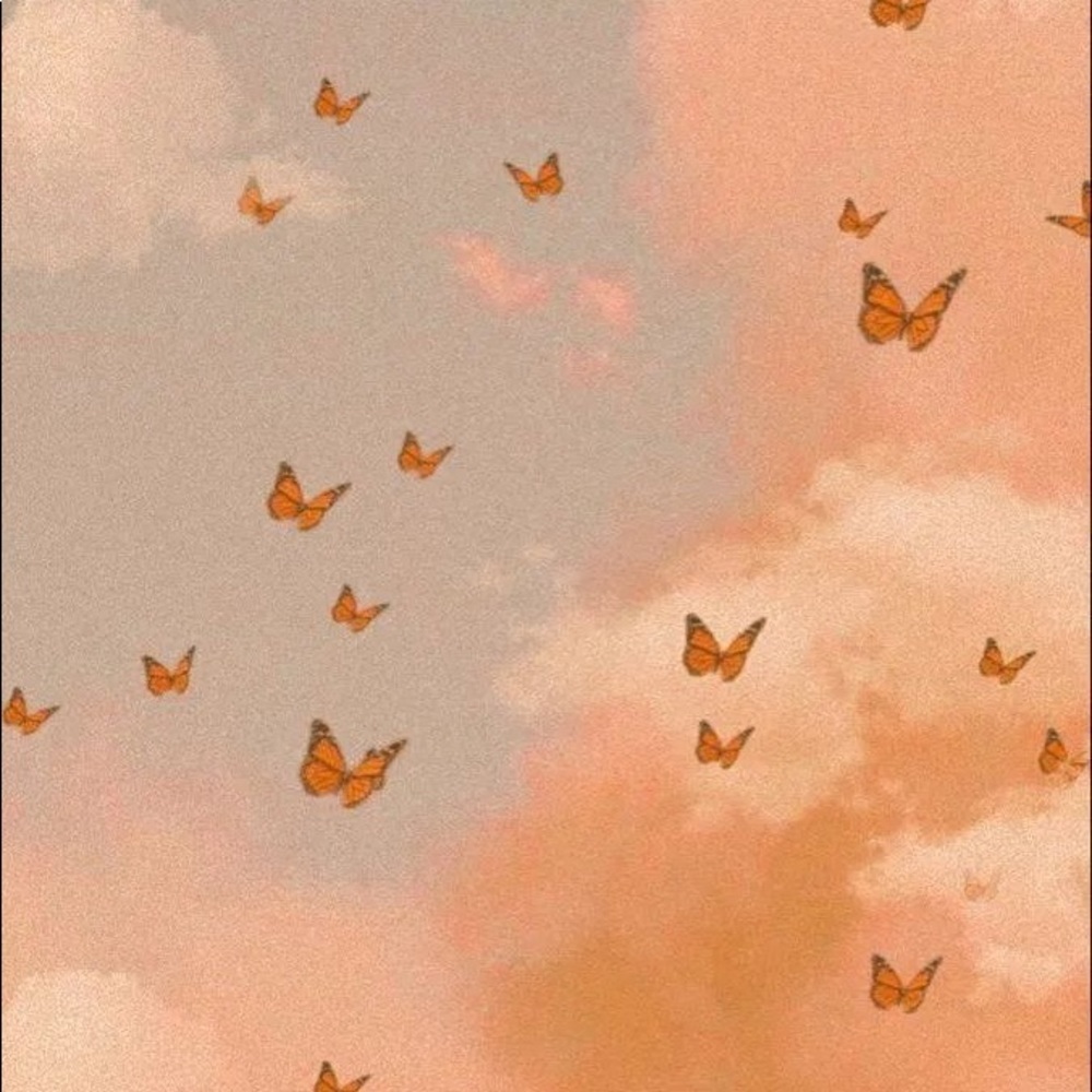 Meet your Posher, Latchmie